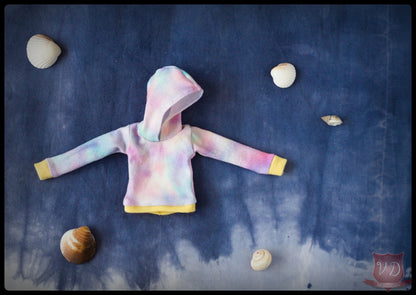 Basic Hoodie Sweater in 2 Colours - Rainbow, Pink for Barbies, 1/6 dolls